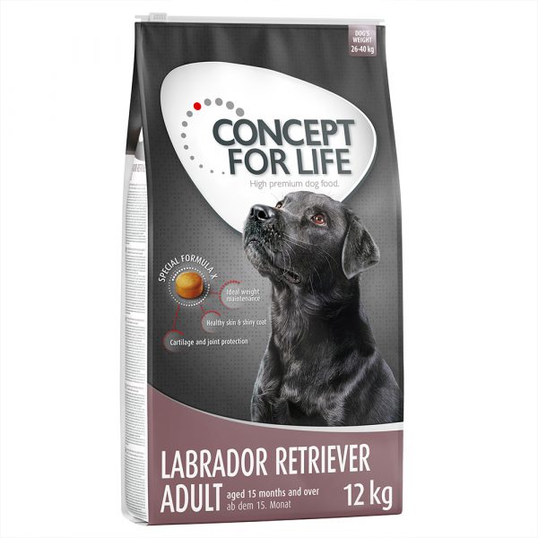 Sparpaket Concept for Life 2 x Großgebinde - Labrador Retriever Adult (2 x 12 kg)